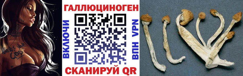 гидра ONION  Жуковка  Псилоцибиновые грибы ЛСД 
